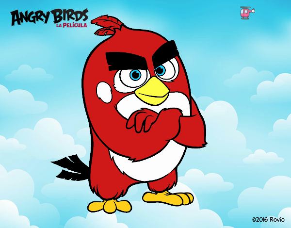 Red de Angry Birds