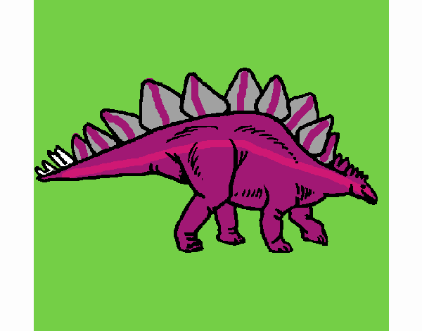 Stegosaurus