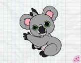 Un Koala