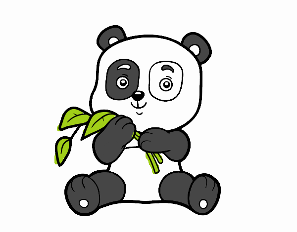 Un oso panda