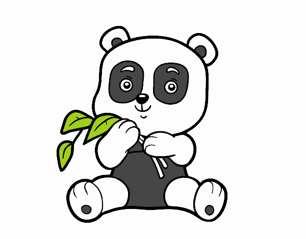 Un oso panda