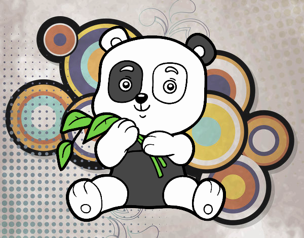 Un oso panda