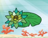 Dibujo Una flor de loto pintado por Ramon45
