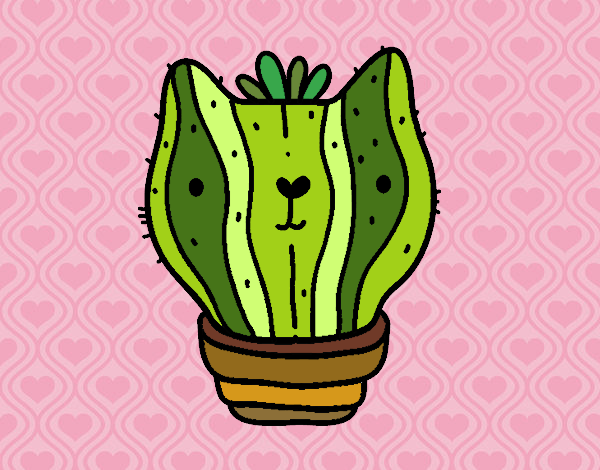 Cactus gato