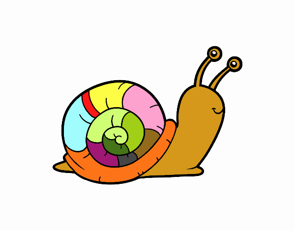 El caracol