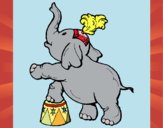 Elefante