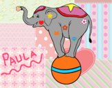 Elefante equilibrista