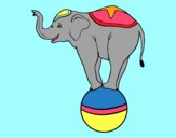 Elefante equilibrista