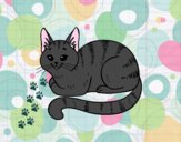 Dibujo Gato joven pintado por Picasa  