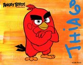 Red de Angry Birds