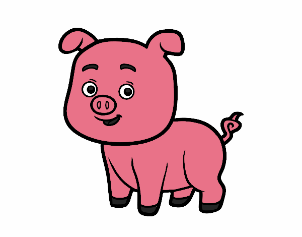 cerdito