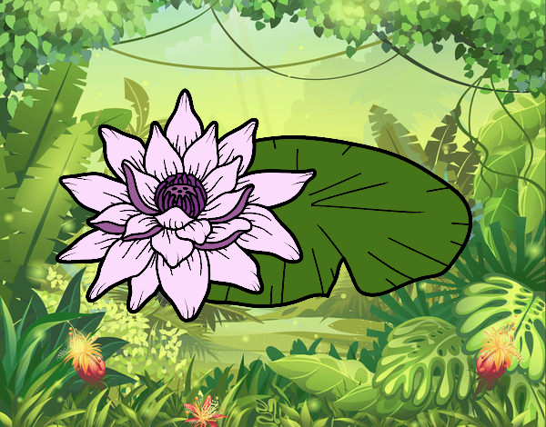Dibujo Una flor de loto pintado por betzabethN