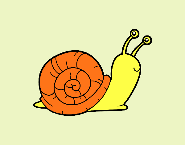 El caracol