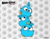 Las crias de Angry Birds