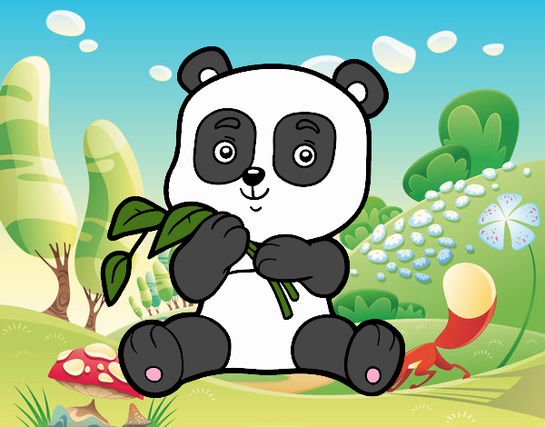 Un oso panda