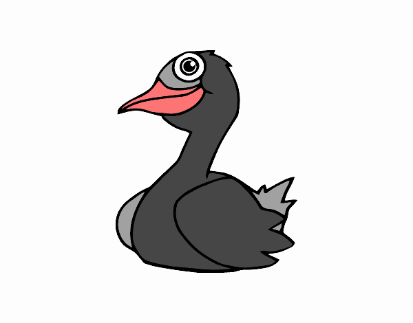 Un pato