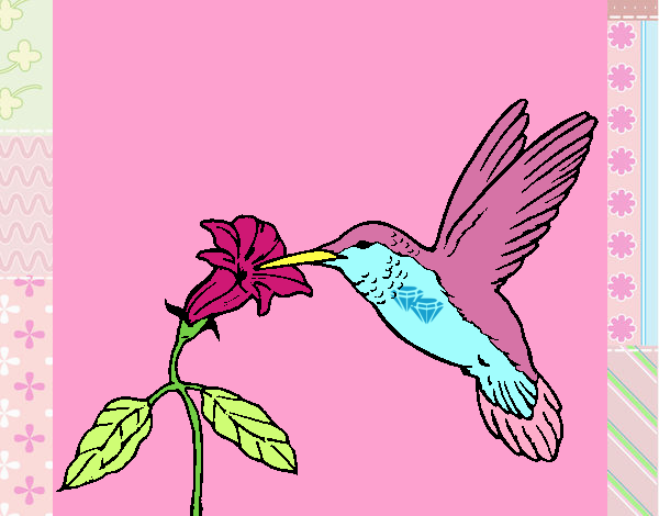 Colibrí y una flor