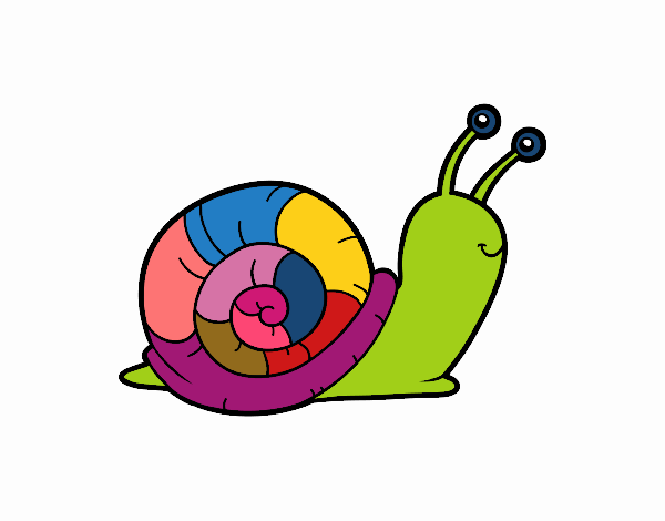 El caracol