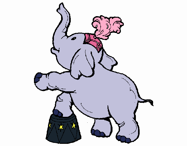 Elefante