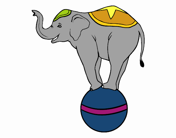 Elefante equilibrista