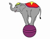 Elefante equilibrista