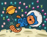 Gatito astronauta