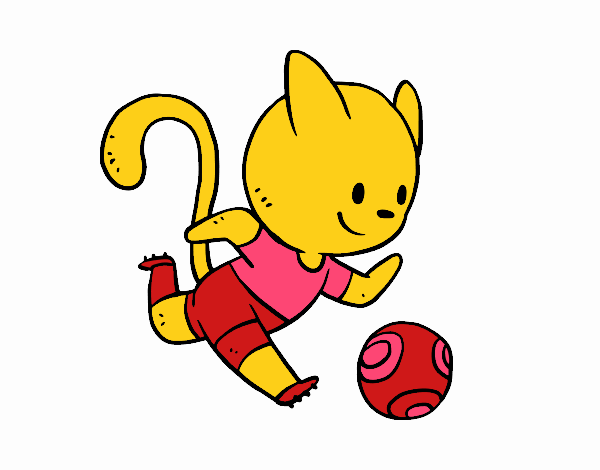 Gato jugando a fútbol