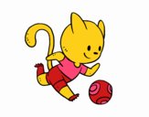 Gato jugando a fútbol