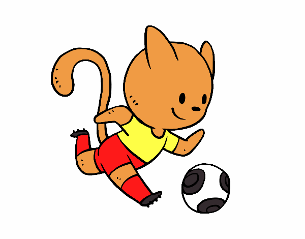 Gato jugando a fútbol