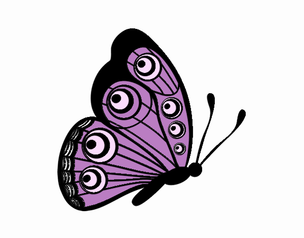 Mariposa dirección derecha