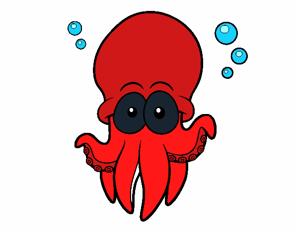 Pulpo rojo