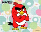 Red de Angry Birds