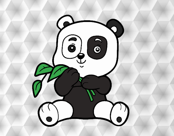 osito panda