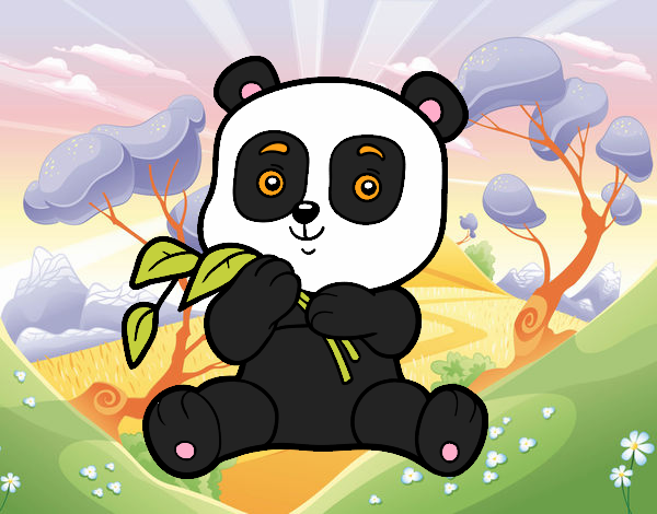 Un oso panda