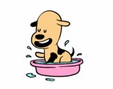 Dibujo Un perrito en la bañera pintado por Osleannys 