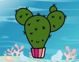 Cactus nopal