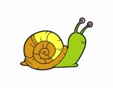 El caracol