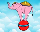 Elefante equilibrista