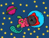 Gatito astronauta