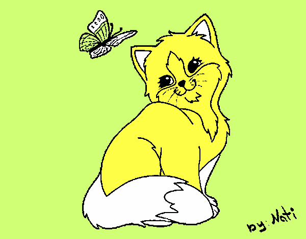 gato   un    mariposa  