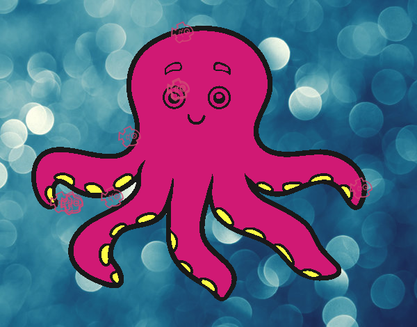 PULPO