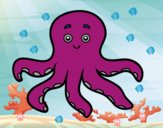 Pulpo infantil