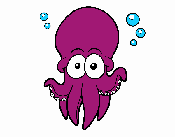 Pulpo rojo