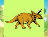 Triceratops 1