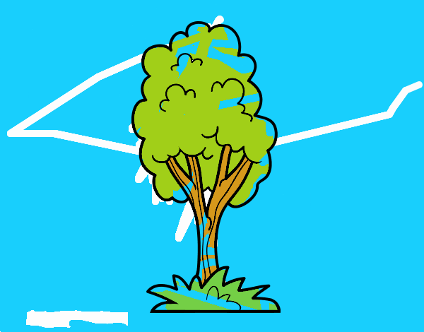 Un árbol de parque