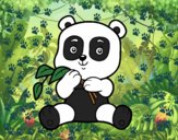 Un oso panda