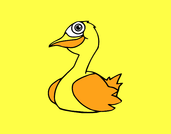 Un pato