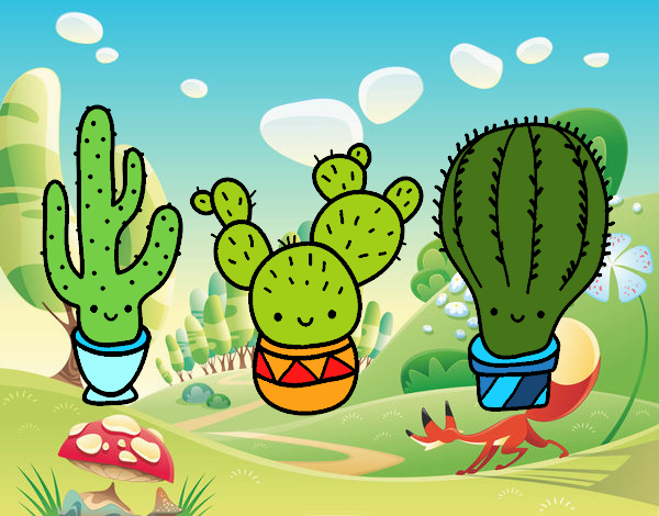 3 mini cactus