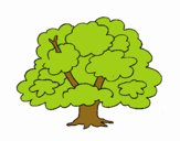 Árbol