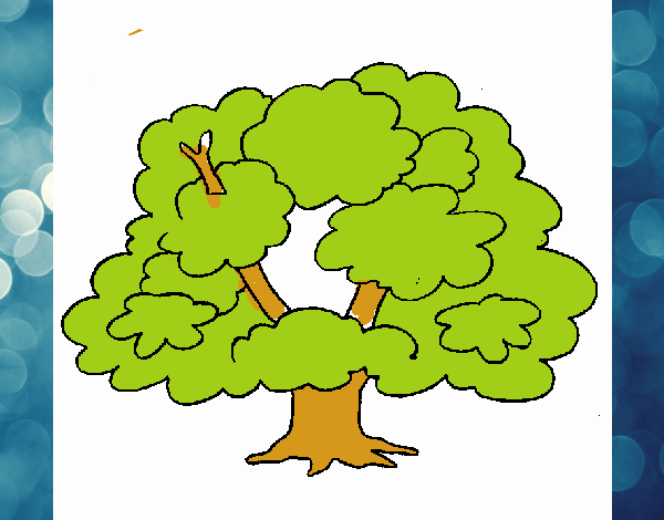 Árbol